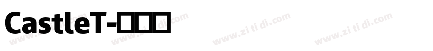 CastleT字体转换