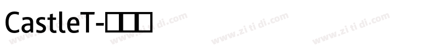 CastleT字体转换