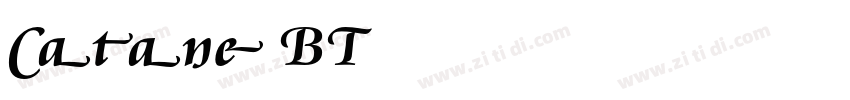 CataneoBT字体转换