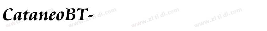 CataneoBT字体转换