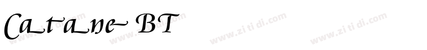 CataneoBT字体转换