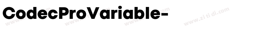 CodecProVariable字体转换