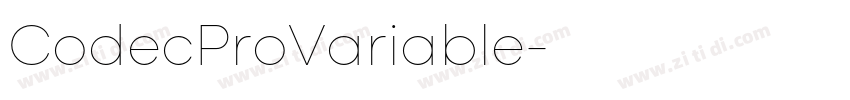 CodecProVariable字体转换