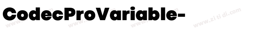 CodecProVariable字体转换
