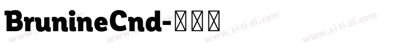 BrunineCnd字体转换
