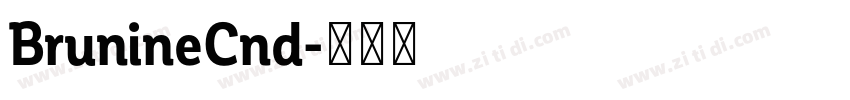 BrunineCnd字体转换