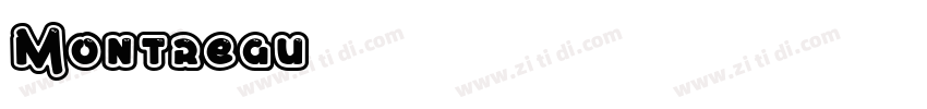 Montreau字体转换