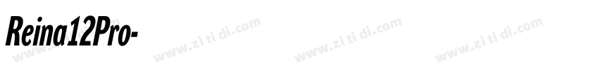 Reina12Pro字体转换 Reina12Pro字体转换