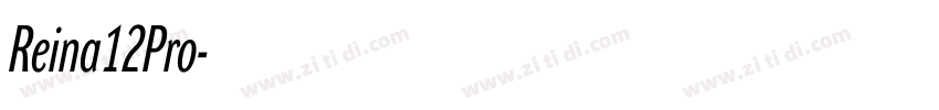 Reina12Pro字体转换 Reina12Pro字体转换
