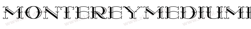 MontereyMediumFlF字体转换