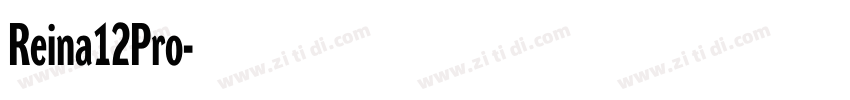 Reina12Pro字体转换 Reina12Pro字体转换