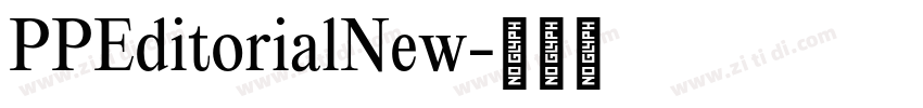 PPEditorialNew字体转换 PPEditorialNew字体转换