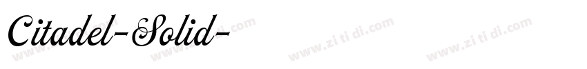Citadel-Solid字体转换
