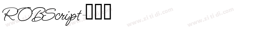 ROBScript字体转换