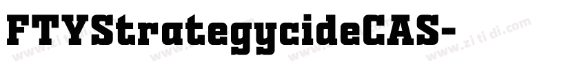 FTYStrategycideCAS字体转换 FTYStrategycideCAS字体转换