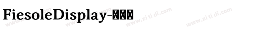 FiesoleDisplay字体转换 FiesoleDisplay字体转换