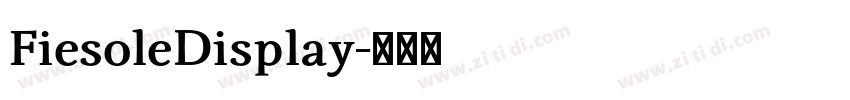 FiesoleDisplay字体转换 FiesoleDisplay字体转换