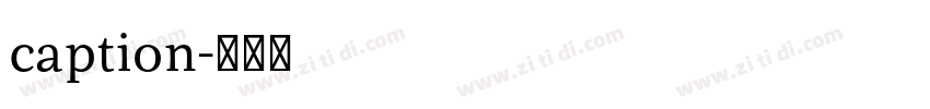 caption字体转换