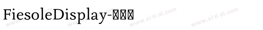 FiesoleDisplay字体转换 FiesoleDisplay字体转换