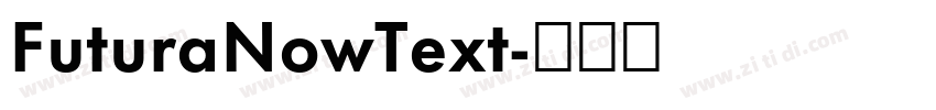 FuturaNowText字体转换 FuturaNowText字体转换