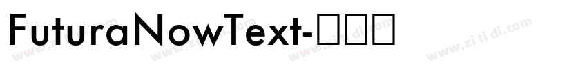 FuturaNowText字体转换 FuturaNowText字体转换