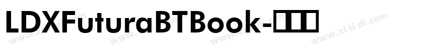 LDXFuturaBTBook字体转换