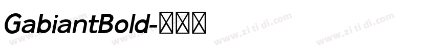 GabiantBold字体转换