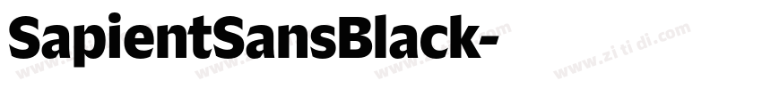 SapientSansBlack字体转换 SapientSansBlack字体转换