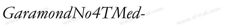 GaramondNo4TMed字体转换