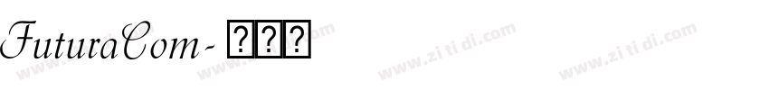 FuturaCom字体转换