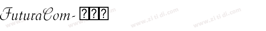 FuturaCom字体转换