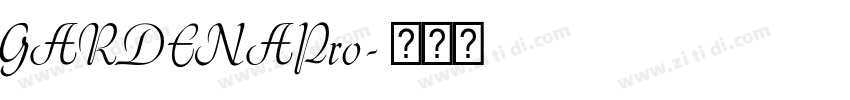 GARDENAPro字体转换