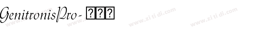 GenitronisPro字体转换