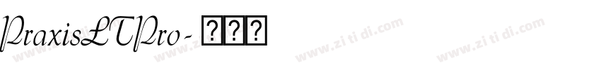 PraxisLTPro字体转换