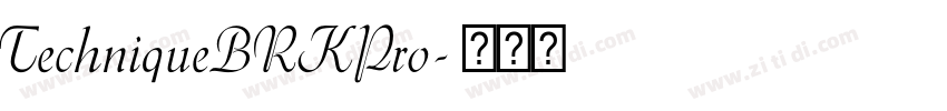 TechniqueBRKPro字体转换
