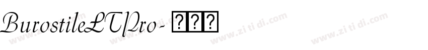 BurostileLTPro字体转换