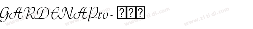 GARDENAPro字体转换