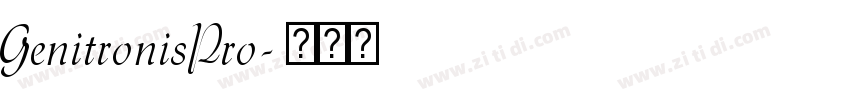 GenitronisPro字体转换