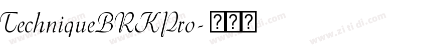 TechniqueBRKPro字体转换