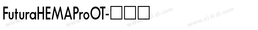 FuturaHEMAProOT字体转换