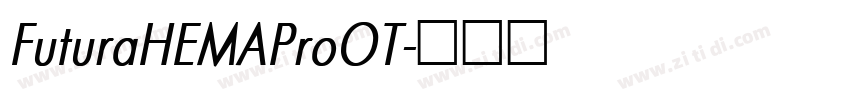 FuturaHEMAProOT字体转换