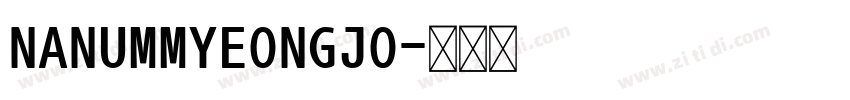 NANUMMYEONGJO字体转换