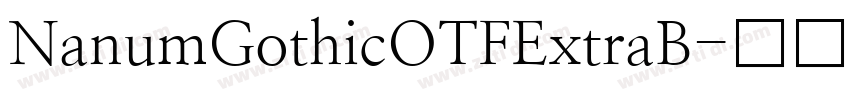NanumGothicOTFExtraB字体转换