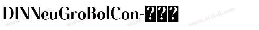 DINNeuGroBolCon字体转换