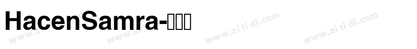 HacenSamra字体转换