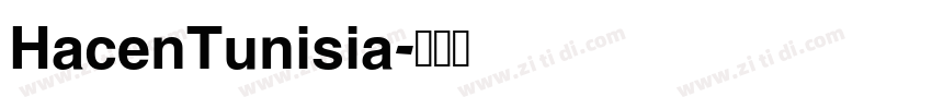 HacenTunisia字体转换