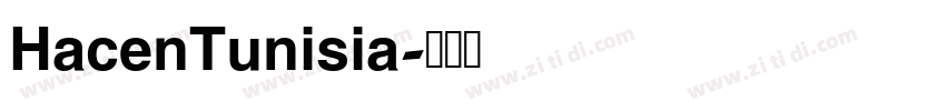 HacenTunisia字体转换