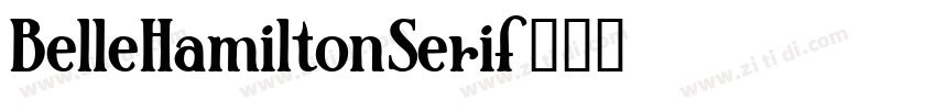 BelleHamiltonSerif字体转换