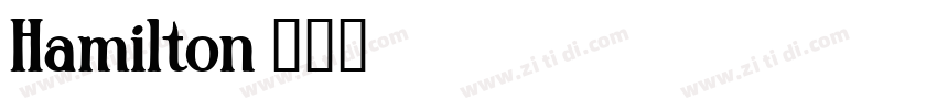 Hamilton字体转换