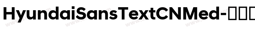 HyundaiSansTextCNMed字体转换 HyundaiSansTextCNMed字体转换